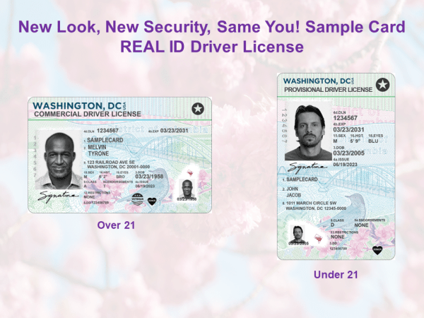 Washington DC Driving License PSD Template  V2